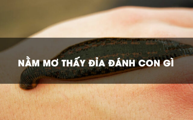 mo-thay-dia-danh-con-gi