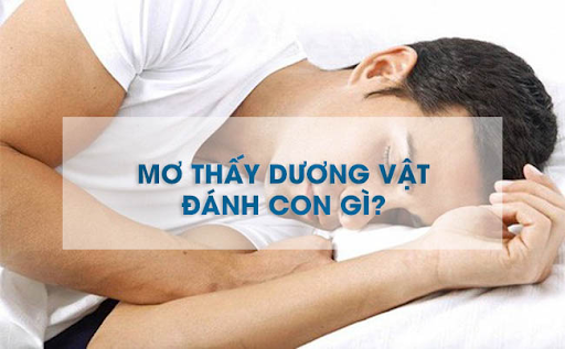 mo-thay-duong-vat-danh-con-gi