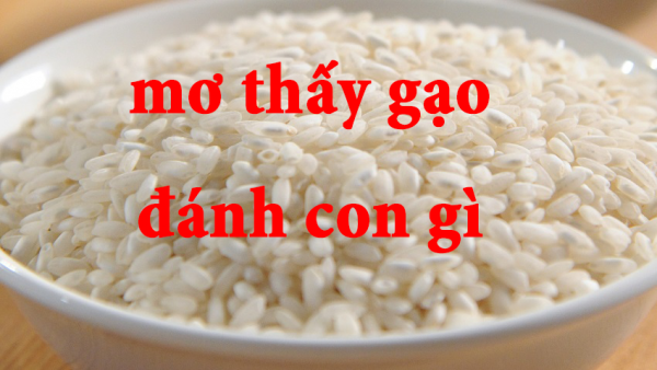 mo-thay-gao-danh-con-gi-1