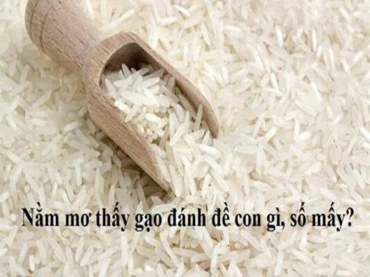 mo-thay-gao-danh-con-gi