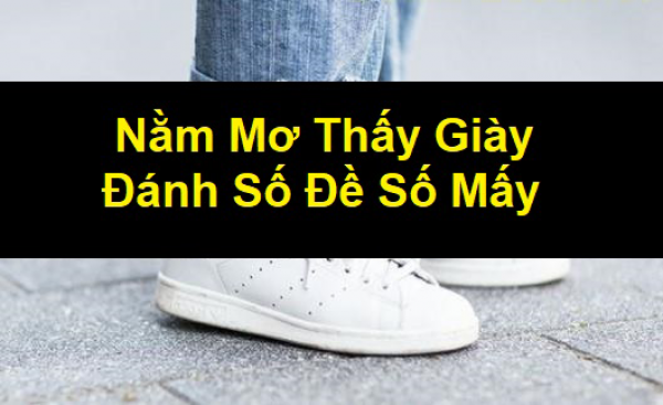 Mơ thấy giày dép đánh con gì?